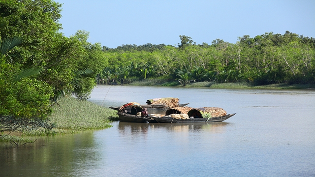 Fishing ban in Sundarbans deprives hundreds of incomes