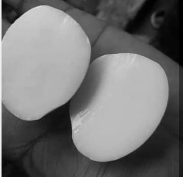 কুসুম বিহীন ডিম