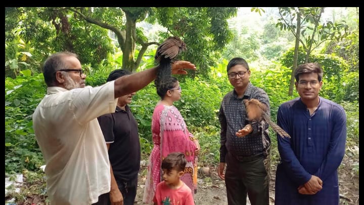 পাখি দুটি বনে ফেরার আগে দুই মাস দেখে গেল মানুষের ভালবাসা