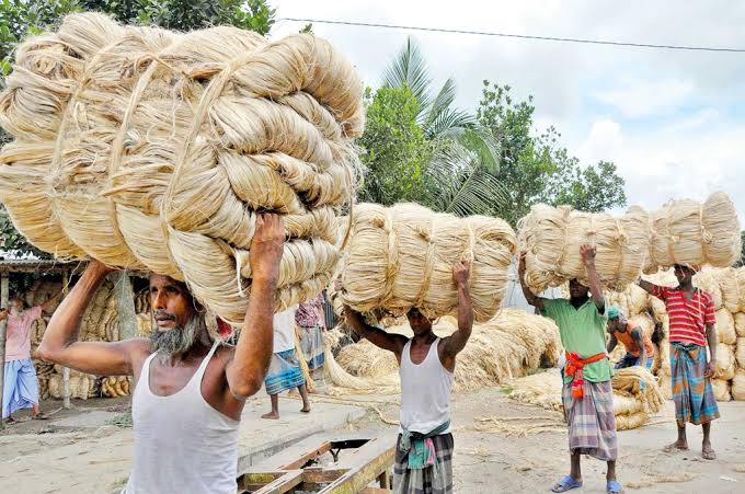 BJA seeks source tax cut on jute exports