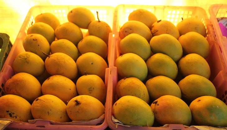 Rajshahi mangoes make inroad into Europe’s chain shops