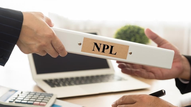 NPL: Curse for sustainable growth