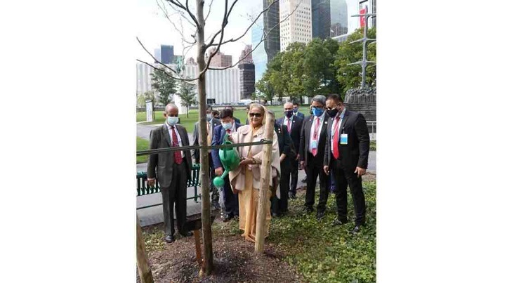 PM plants tree at UN gardens, dedicates those to Bangabandhu