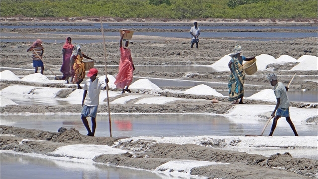 Salt output misses target, reliance on imports grows