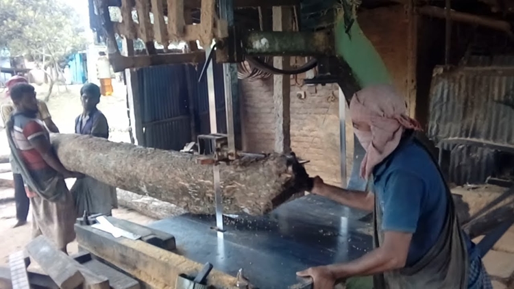 Govt losing revenue as 90pc Rangpur sawmills unlicensed