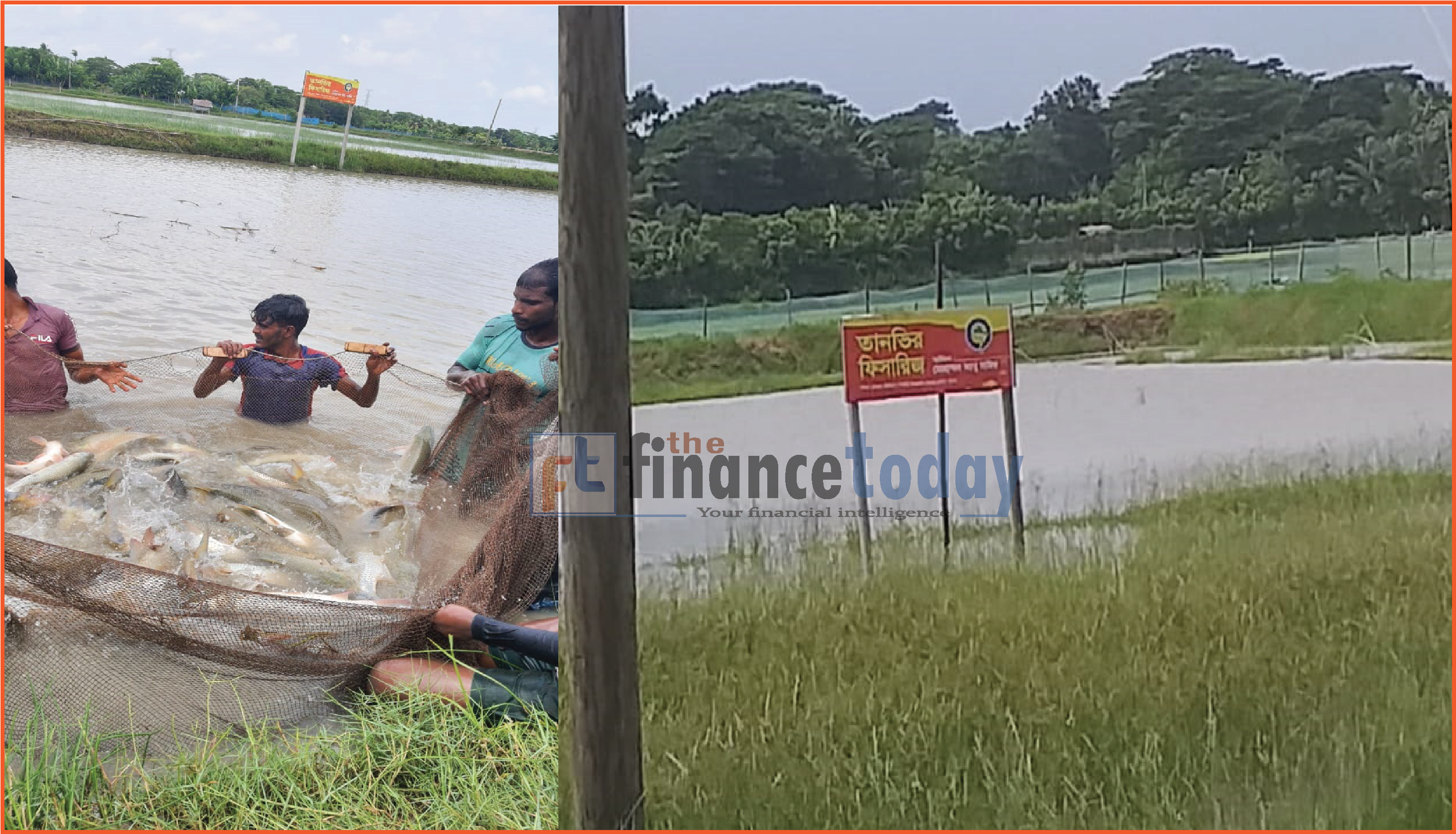 অপপ্রচারের শিকার তানভীর ফিসারিজ ও পোল্ট্রি 