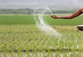 Govt to procure 30,000 tonnes of urea fertilizer