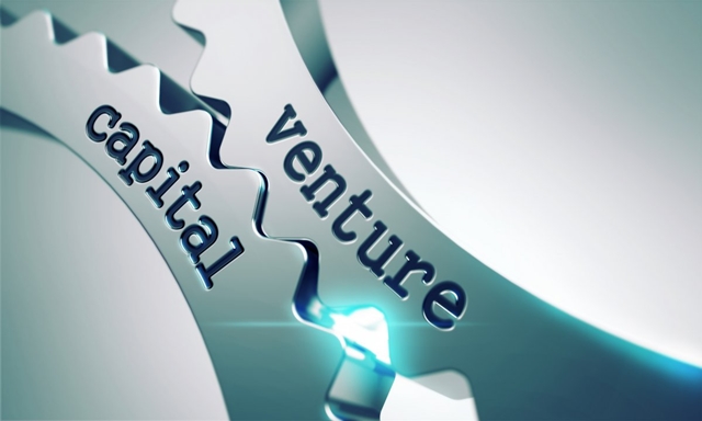 State venture capital company on the anvil