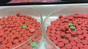 1.2 lakh Yaba pills worth Tk 3.6cr seized in Cox’s Bazar’s Teknaf
