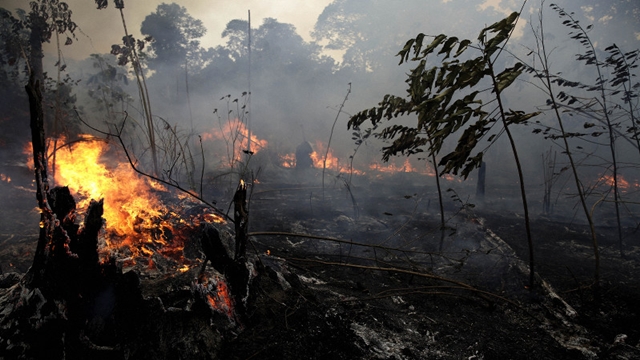 Amazon fires: Seven countries sign forest protection pact