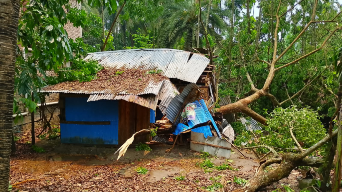 8 killed in nor’wester in Barisal, Bhola