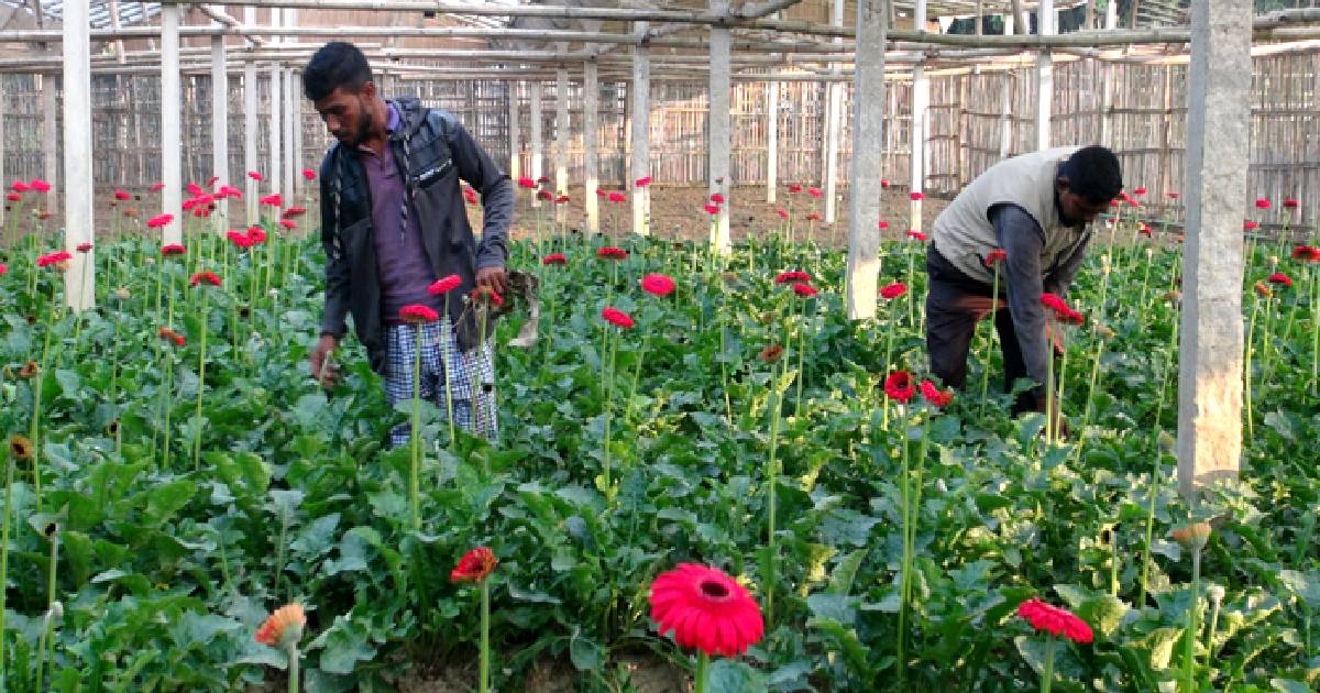A youth finds his luck in flower production