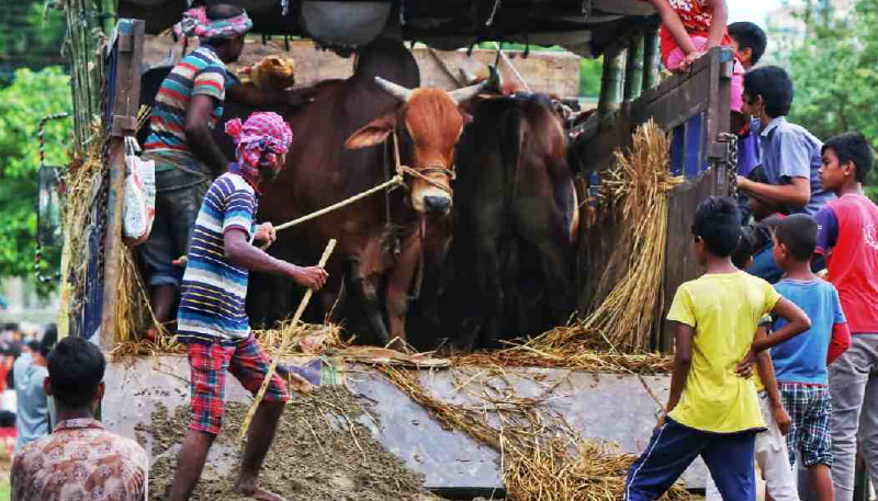 Stern action against anyone extorting from cattle-laden vehicles: IGP