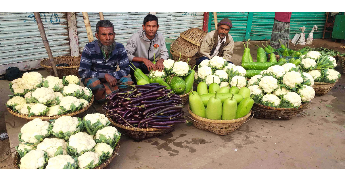 Bumper winter vegetable yield delights Sylhet farmers