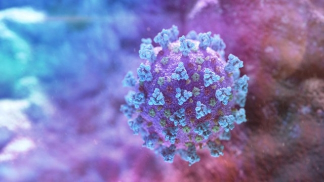 2 coronavirus affected Bangladeshis tested negative yesterday: IEDCR