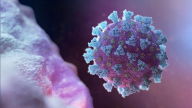 9 more coronavirus patients die, 434 test positive in 24hrs: DGHS