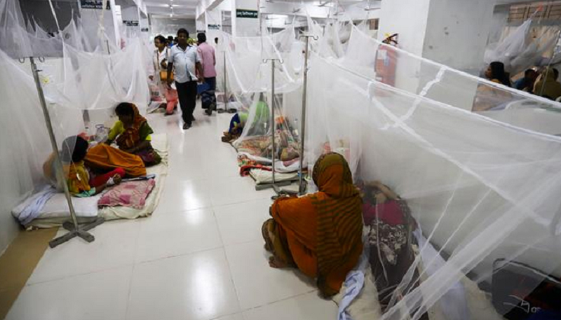 224 dengue patients hospitalized in 24 hours: DGHS