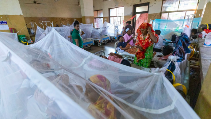 615 new dengue patients hospitalised in 24 hrs