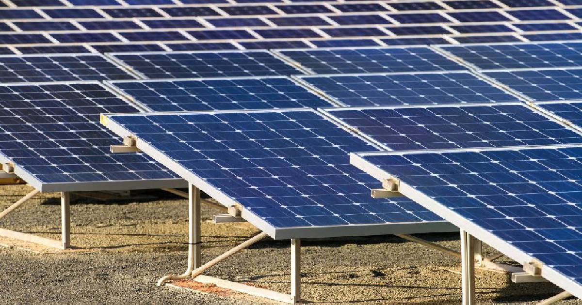 Move underway to purchase power from solar mini-grids to save investors