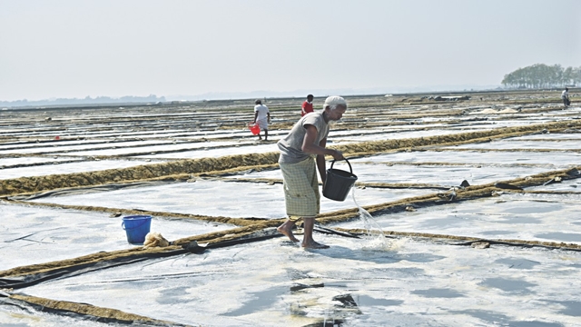 Tears of salt farmers