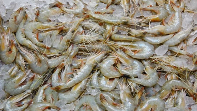 Frozen fish exporters seek 20pc cash incentive