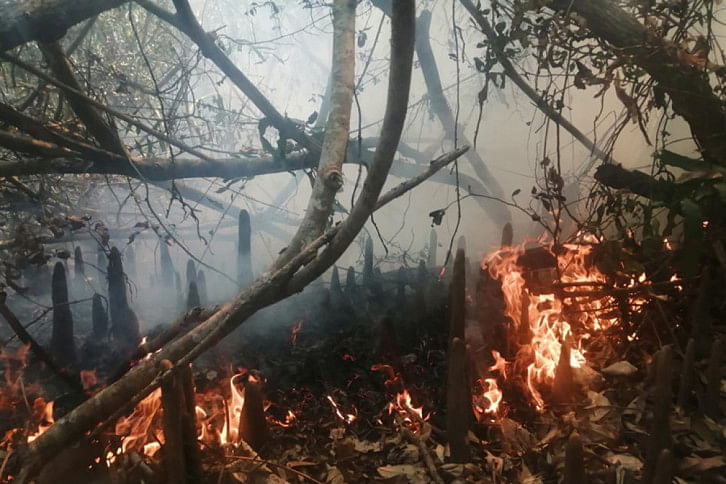 Operation to douse Sundarbans fire to be started Sunday morning