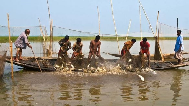 Bangladesh as 3rd fish producing country: FAO