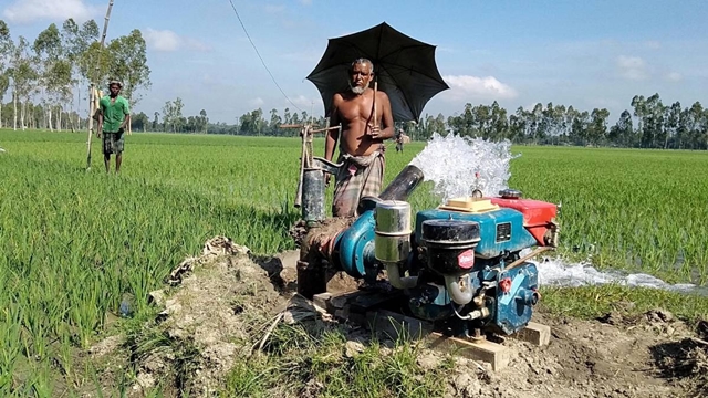 After flood, drought hits Kurigram farmers