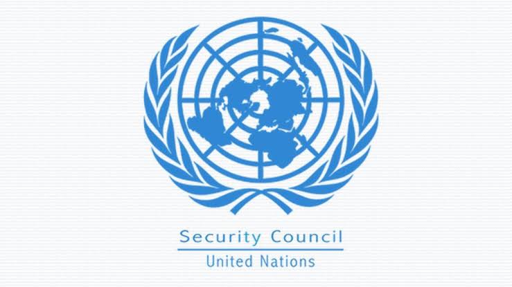 UAE, Brazil, 3 other countries elected to UN Security Council