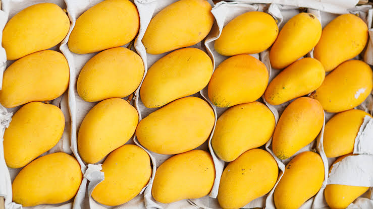 China keen to import mango from Bangladesh: Minister