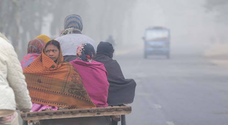 শীতে কাঁপছে রাজবাড়ী 