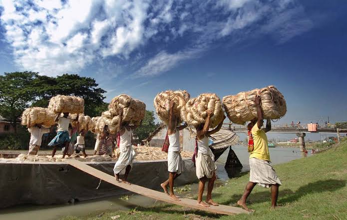 Bangladesh exports jute, jute goods to $1.2 bn