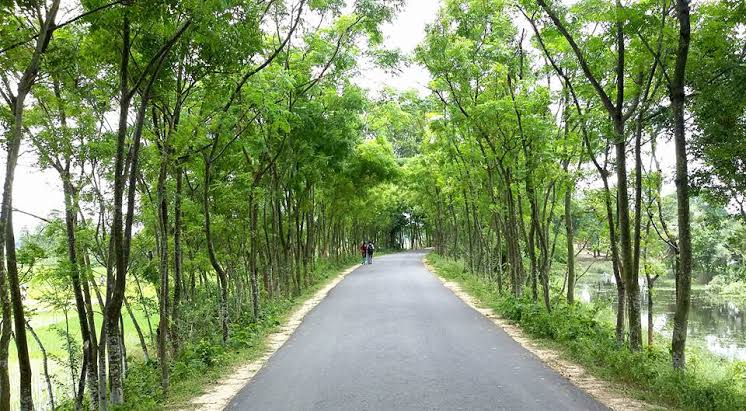 ADB approves $190mn additional funding for rural roads improvement in Bangladesh