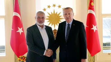 Erdogan urges Palestinian unity after meeting Hamas chief