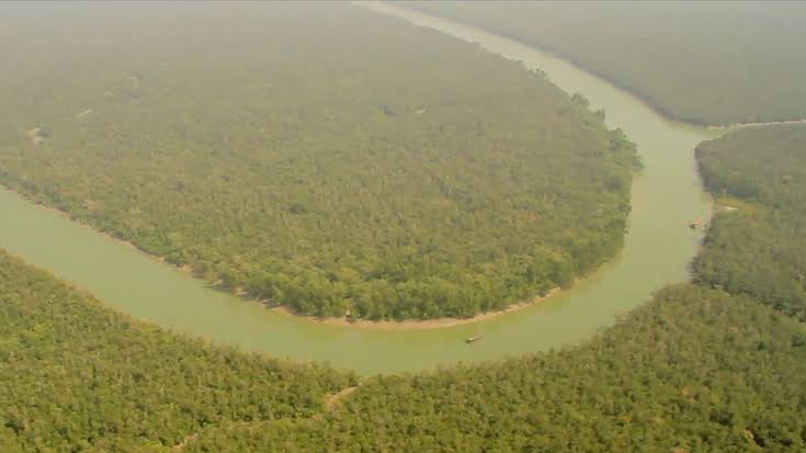 Bangladesh joins pledge to end deforestation by 2030