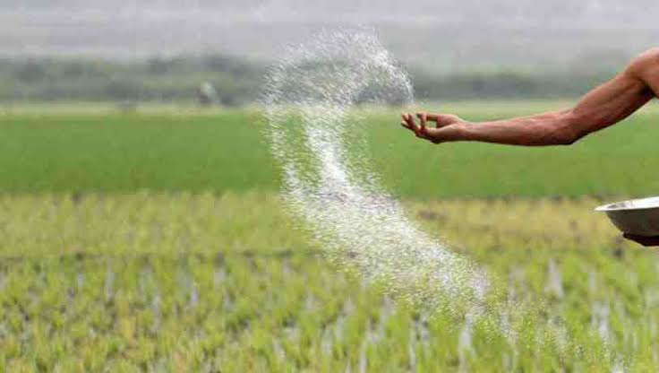 Urea fertiliser price increased by Tk 6.0 per kg for farmers