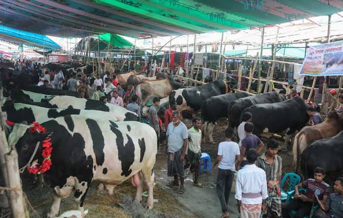 Govt issues instructions on cattle markets