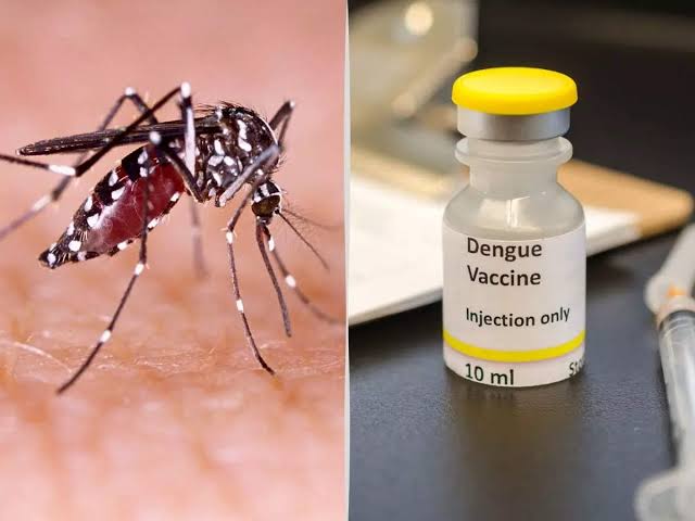 Virologists stress vaccination against dengue