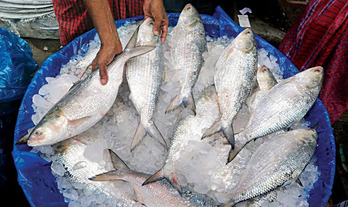 'Government has no plan to export Hilsa in next 5 years'