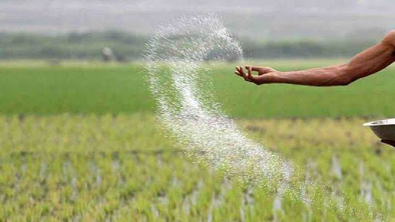 Govt to procure 2.65 lakh MTs fertilizer, 4 cargo LNG