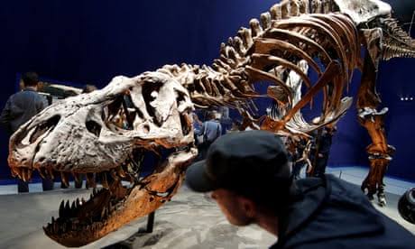 New dinosaur species is largest found in Australia: Scientists 