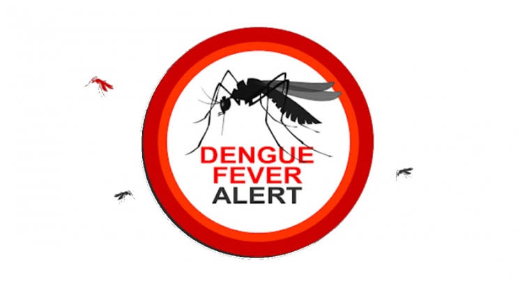 Experts for holistic approach to prevent dengue disease