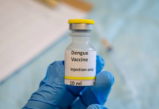 Govt working to procure dengue vaccine: DGHS