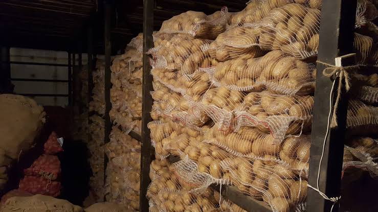 DCs asked to ensure govt fixed price of potatoes at cold storage