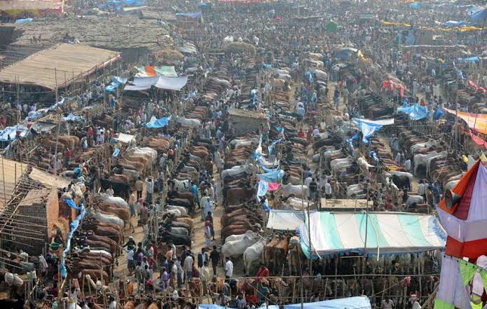 BB asks banks to keep branches open in Dhaka cattle market areas on July 8,9