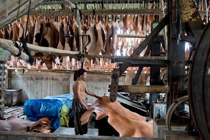 Implementation of labour laws in tannery factories stressed
