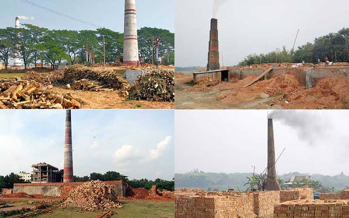 HC orders removal of brickfields from four districts