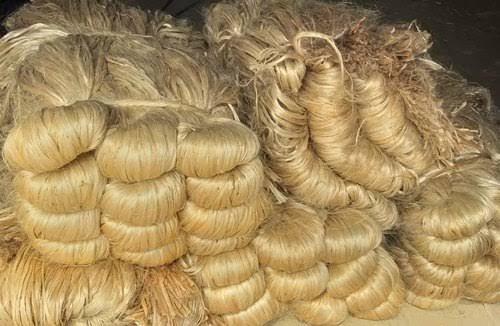 Direct jute export shipping to Europe, UAE planned