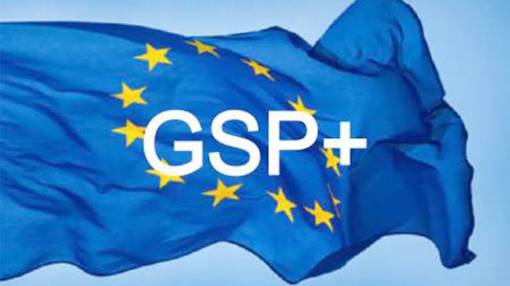 GSP plus, labour rights to get focus at meeting with EU trade delegation