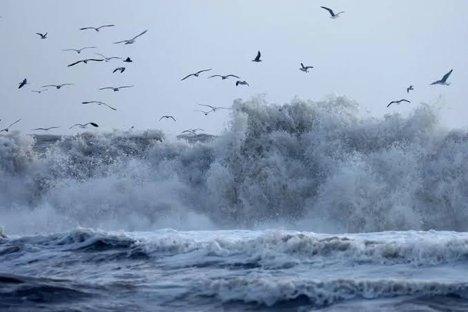 Scientists sound alarm as ocean temperatures hit new record